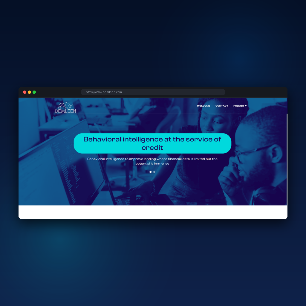 Demleen credit assessment platform mockup