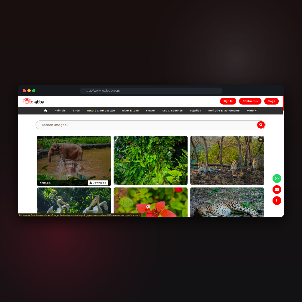 FotoLobby photography stock website mockup